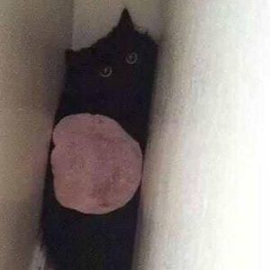 Meet your Posher, Jon